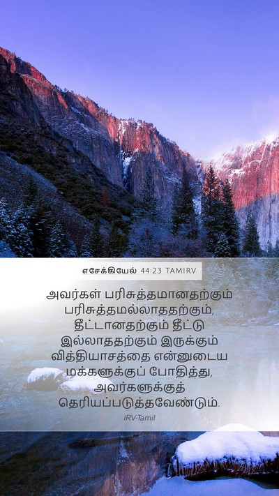 எசேக்கியேல் 44:23 TAMIRV Bible Verse Image