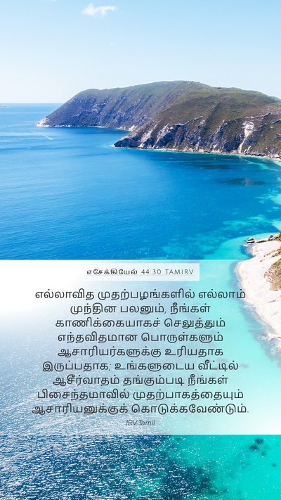 எசேக்கியேல் 44:30 TAMIRV Bible Verse Image