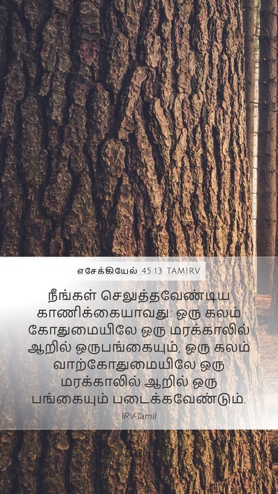 எசேக்கியேல் 45:13 TAMIRV Mobile Phone Wallpaper - நீங்கள் - Mobile Bible Verse Wallpaper