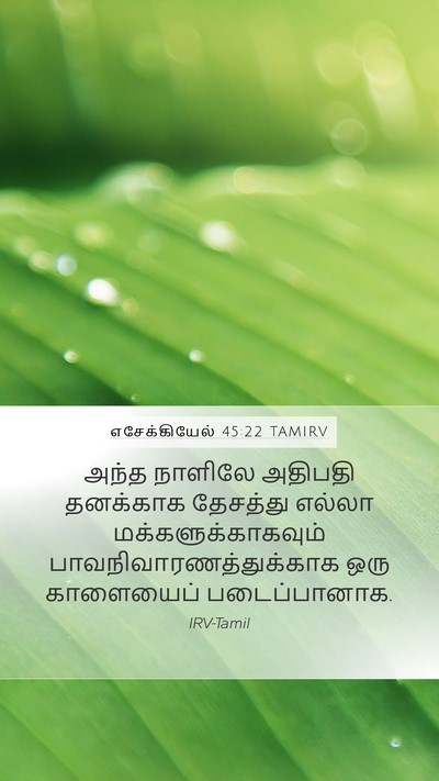 எசேக்கியேல் 45:22 TAMIRV Mobile Phone Wallpaper - அந்த நாளிலே - Mobile Bible Verse Wallpaper