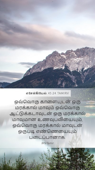 எசேக்கியேல் 45:24 TAMIRV Mobile Phone Wallpaper - ஒவ்வொரு காளையுடன் - Mobile Bible Verse Wallpaper