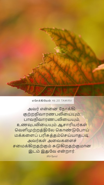 எசேக்கியேல் 46:20 TAMIRV Bible Verse Image