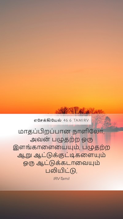 எசேக்கியேல் 46:6 TAMIRV Bible Verse Image