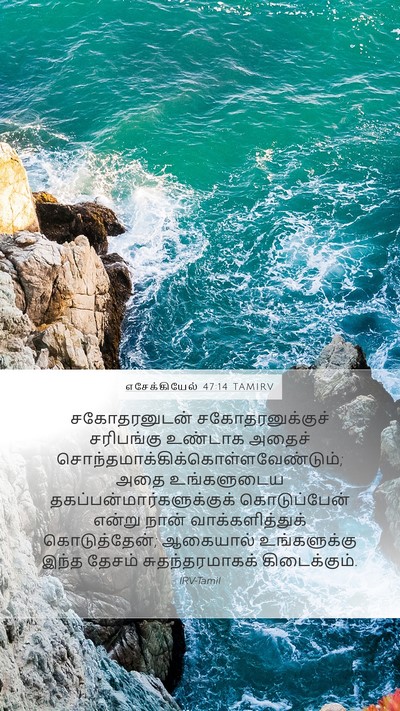 எசேக்கியேல் 47:14 TAMIRV Bible Verse Image