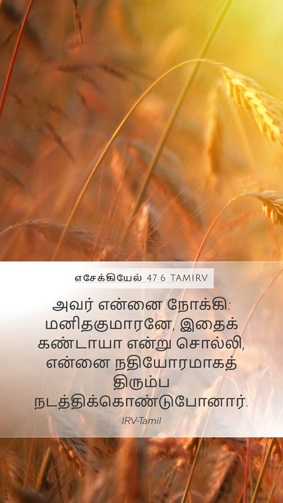 எசேக்கியேல் 47:6 TAMIRV Mobile Phone Wallpaper - அவர் என்னை நோக்கி: - Mobile Bible Verse Wallpaper