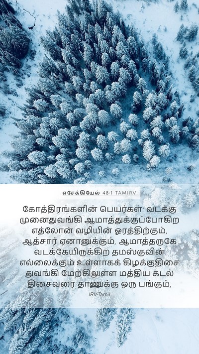 எசேக்கியேல் 48:1 TAMIRV Bible Verse Image