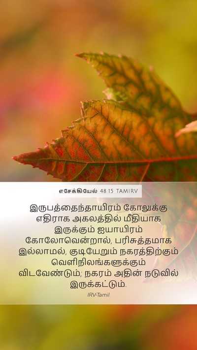 எசேக்கியேல் 48:15 TAMIRV Bible Verse Image
