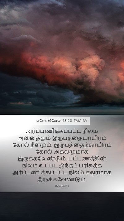 எசேக்கியேல் 48:20 TAMIRV Bible Verse Image
