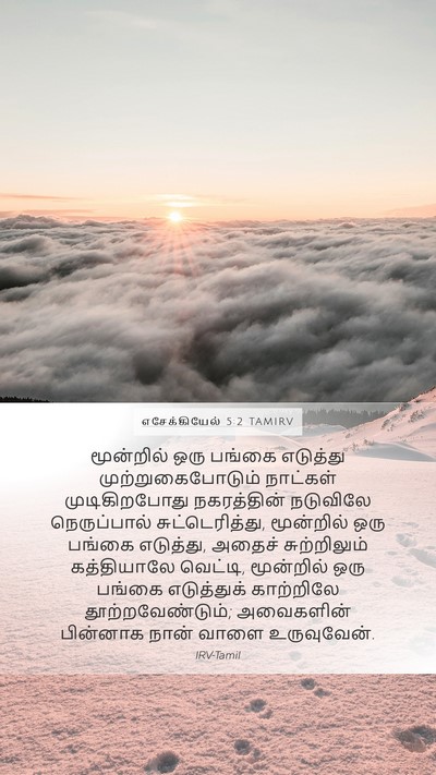எசேக்கியேல் 5:2 TAMIRV Bible Verse Image