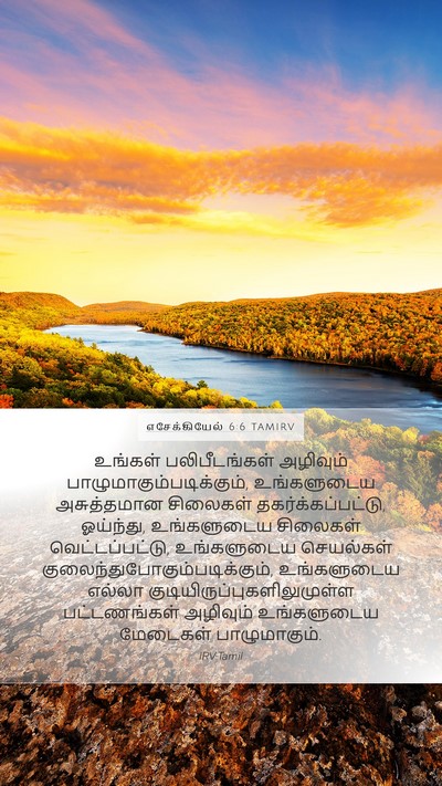 எசேக்கியேல் 6:6 TAMIRV Bible Verse Image
