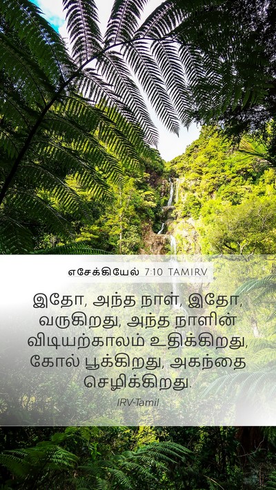 எசேக்கியேல் 7:10 TAMIRV Bible Verse Image