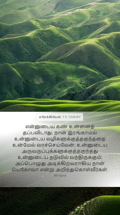 எசேக்கியேல் 7:9 TAMIRV Bible Verse Image