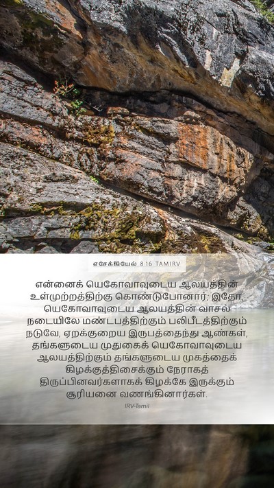 எசேக்கியேல் 8:16 TAMIRV Bible Verse Image