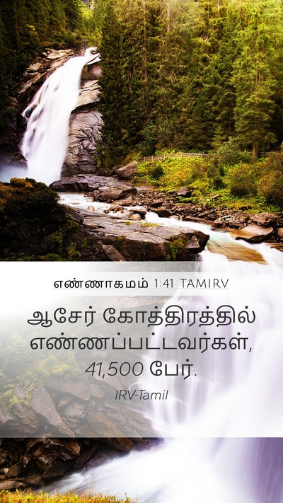 எண்ணாகமம் 1:41 TAMIRV Bible Verse Image