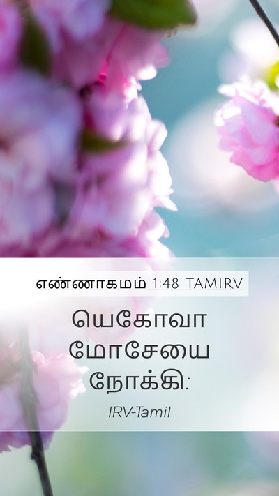 எண்ணாகமம் 1:48 TAMIRV Mobile Phone Wallpaper - யெகோவா மோசேயை - Mobile Bible Verse Wallpaper