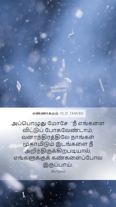 எண்ணாகமம் 10:31 TAMIRV Bible Verse Image