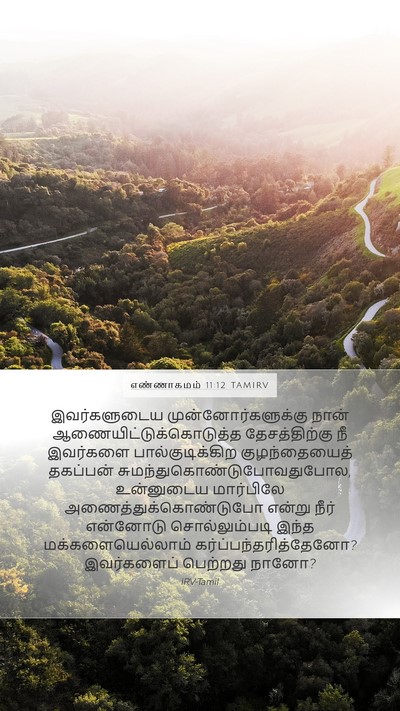 எண்ணாகமம் 11:12 TAMIRV Bible Verse Image