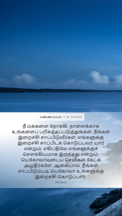 எண்ணாகமம் 11:18 TAMIRV Bible Verse Image