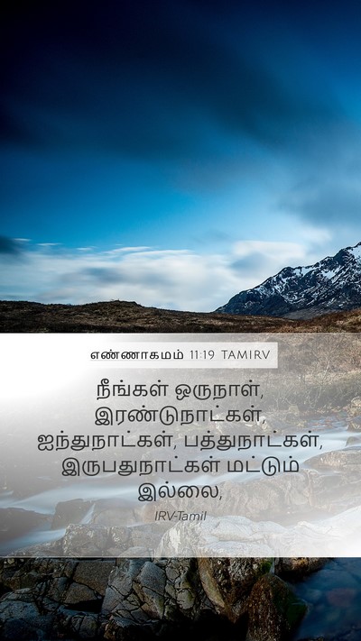 எண்ணாகமம் 11:19 TAMIRV Mobile Phone Wallpaper - நீங்கள் ஒருநாள், - Mobile Bible Verse Wallpaper