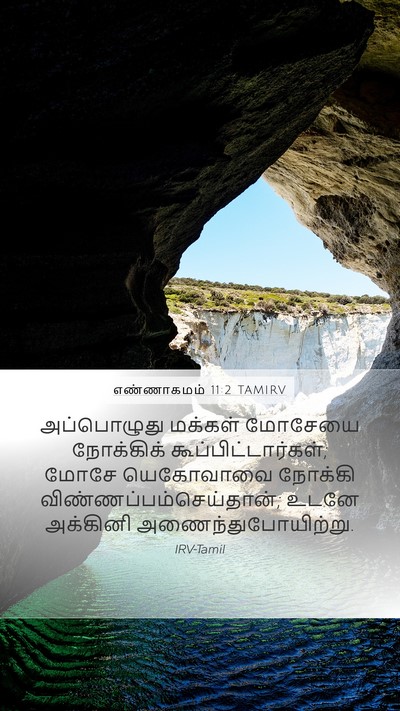 எண்ணாகமம் 11:2 TAMIRV Bible Verse Image