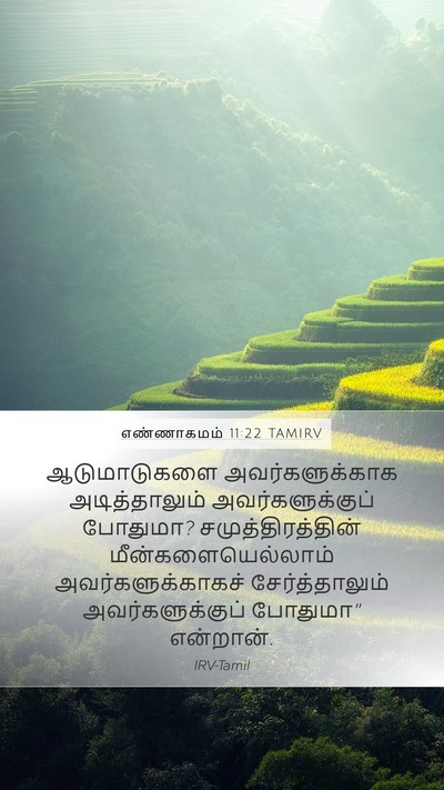 எண்ணாகமம் 11:22 TAMIRV Mobile Phone Wallpaper - ஆடுமாடுகளை - Mobile Bible Verse Wallpaper