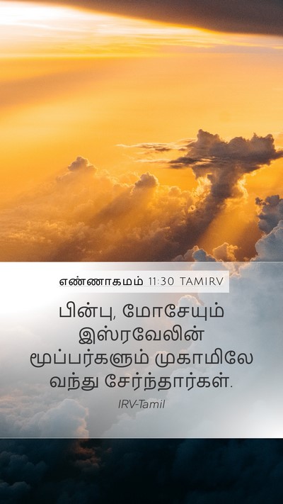 எண்ணாகமம் 11:30 TAMIRV Mobile Phone Wallpaper - பின்பு, மோசேயும் - Mobile Bible Verse Wallpaper