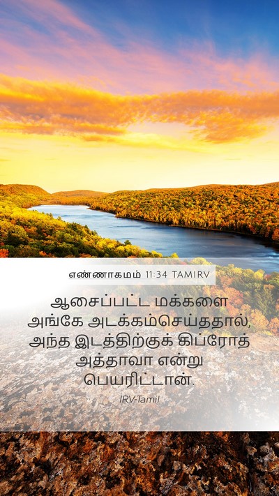 எண்ணாகமம் 11:34 TAMIRV Mobile Phone Wallpaper - ஆசைப்பட்ட மக்களை - Mobile Bible Verse Wallpaper