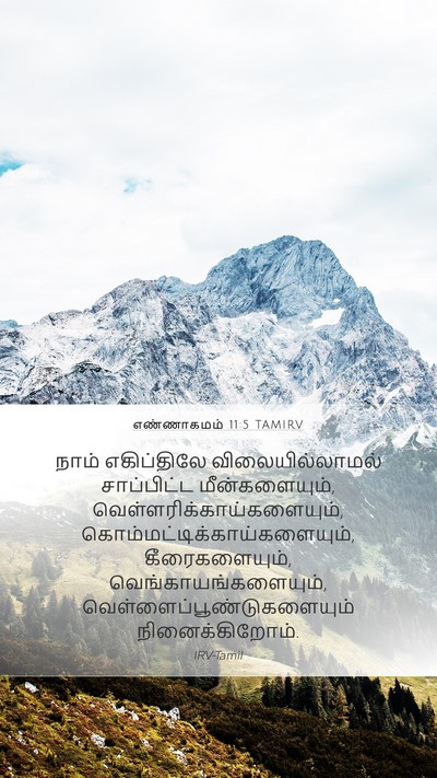 எண்ணாகமம் 11:5 TAMIRV Bible Verse Image