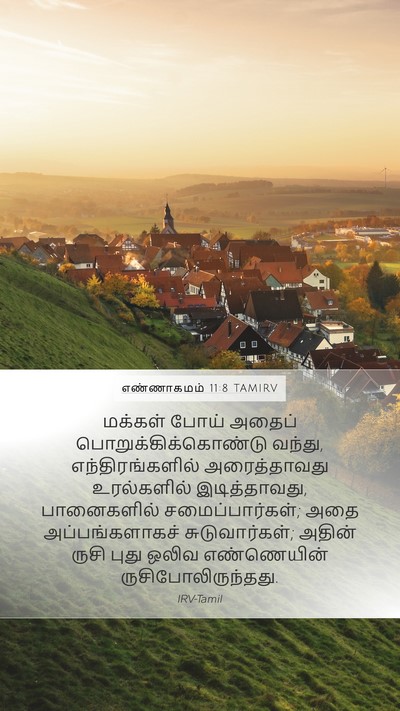 எண்ணாகமம் 11:8 TAMIRV Mobile Phone Wallpaper - மக்கள் போய் அதைப் - Mobile Bible Verse Wallpaper