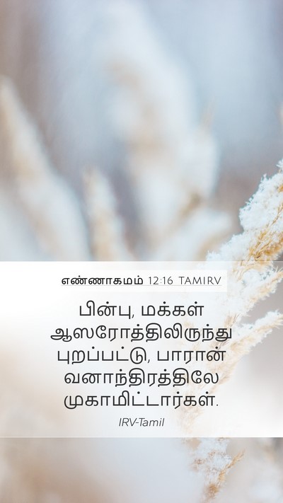 எண்ணாகமம் 12:16 TAMIRV Bible Verse Image