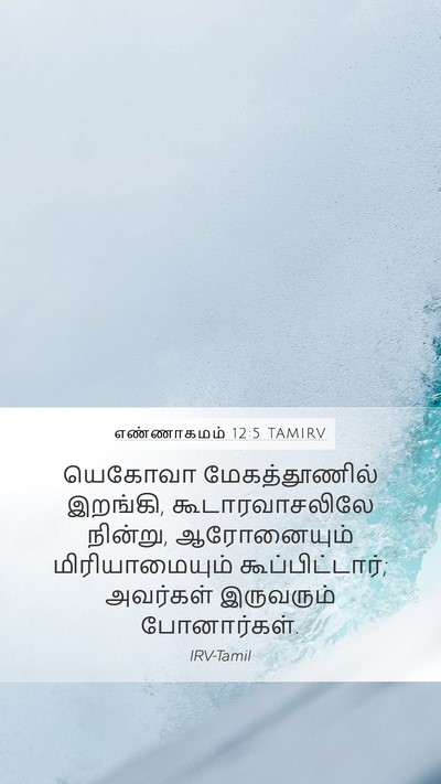 எண்ணாகமம் 12:5 TAMIRV Bible Verse Image