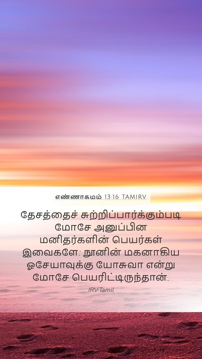 எண்ணாகமம் 13:16 TAMIRV Bible Verse Image