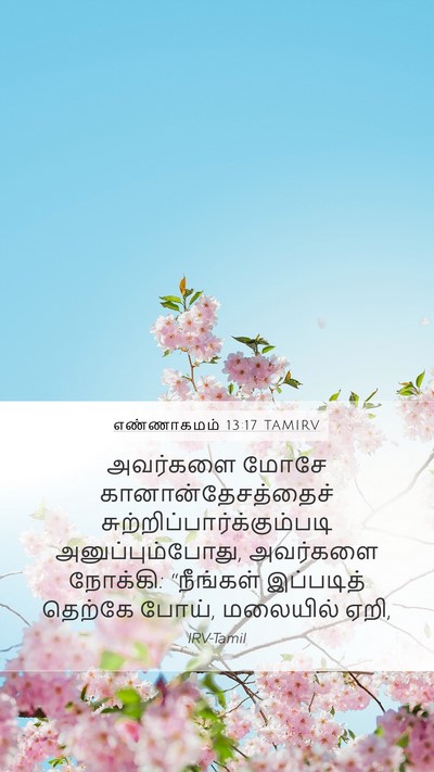 எண்ணாகமம் 13:17 TAMIRV Bible Verse Image
