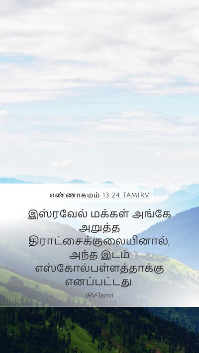 எண்ணாகமம் 13:24 TAMIRV Mobile Phone Wallpaper - இஸ்ரவேல் மக்கள் - Mobile Bible Verse Wallpaper