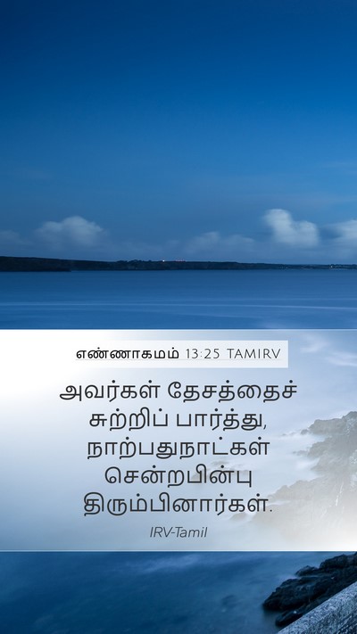 எண்ணாகமம் 13:25 TAMIRV Bible Verse Image