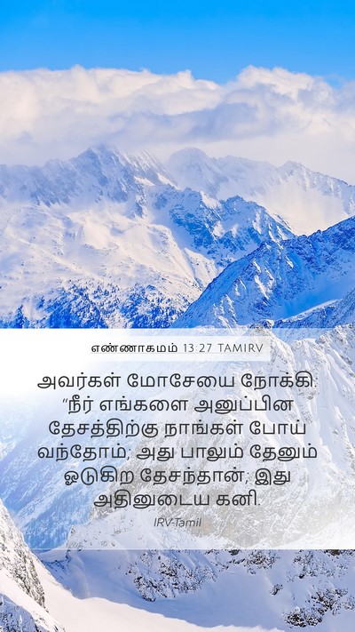 எண்ணாகமம் 13:27 TAMIRV Bible Verse Image