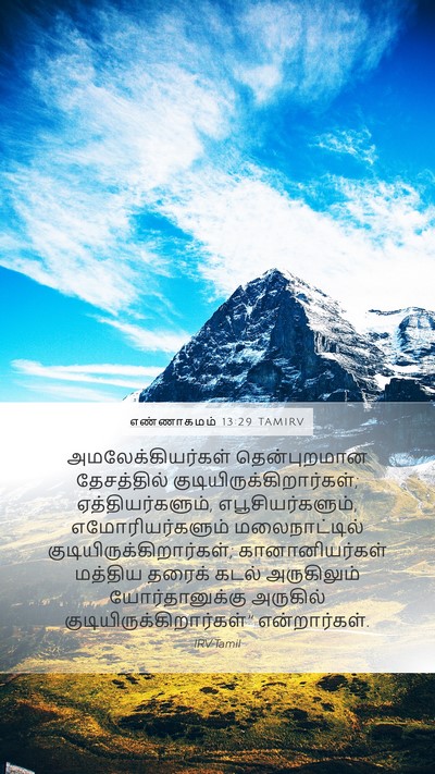 எண்ணாகமம் 13:29 TAMIRV Bible Verse Image