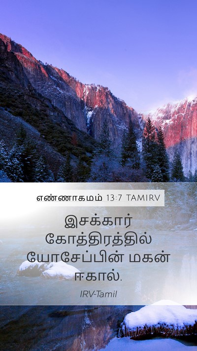 எண்ணாகமம் 13:7 TAMIRV Mobile Phone Wallpaper - இசக்கார் - Mobile Bible Verse Wallpaper