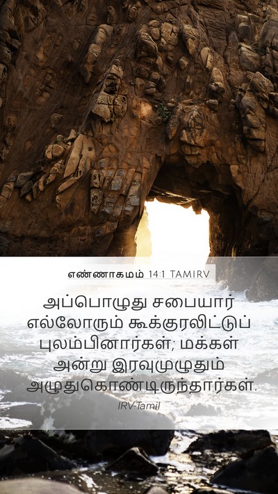எண்ணாகமம் 14:1 TAMIRV Bible Verse Image