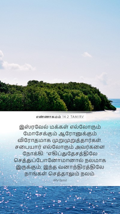 எண்ணாகமம் 14:2 TAMIRV Mobile Phone Wallpaper - இஸ்ரவேல் மக்கள் - Mobile Bible Verse Wallpaper