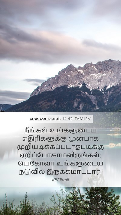 எண்ணாகமம் 14:42 TAMIRV Mobile Phone Wallpaper - நீங்கள் உங்களுடைய - Mobile Bible Verse Wallpaper