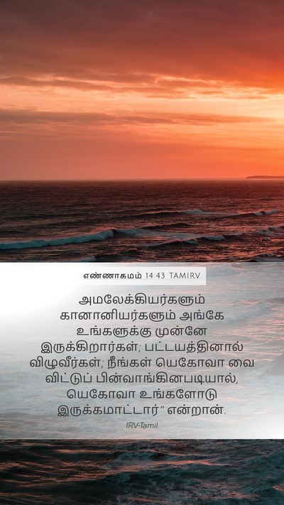 எண்ணாகமம் 14:43 TAMIRV Mobile Phone Wallpaper - அமலேக்கியர்களும் - Mobile Bible Verse Wallpaper