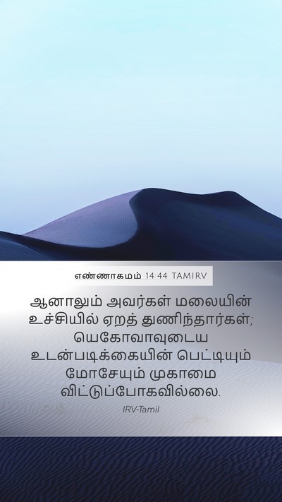 எண்ணாகமம் 14:44 TAMIRV Mobile Phone Wallpaper - ஆனாலும் அவர்கள் - Mobile Bible Verse Wallpaper