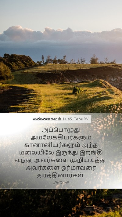 எண்ணாகமம் 14:45 TAMIRV Bible Verse Image