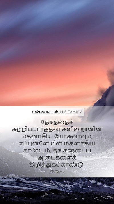 எண்ணாகமம் 14:6 TAMIRV Bible Verse Image