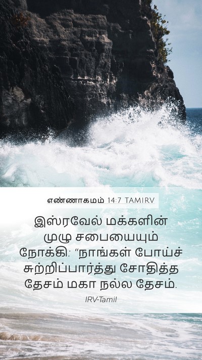 எண்ணாகமம் 14:7 TAMIRV Mobile Phone Wallpaper - இஸ்ரவேல் மக்களின் - Mobile Bible Verse Wallpaper