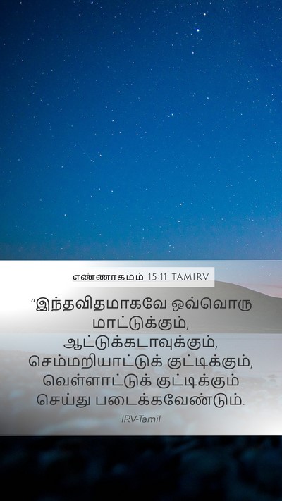 எண்ணாகமம் 15:11 TAMIRV Mobile Phone Wallpaper - “இந்தவிதமாகவே - Mobile Bible Verse Wallpaper