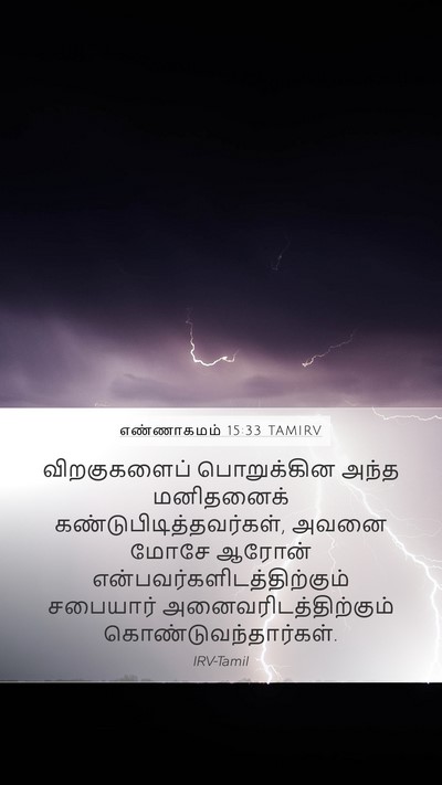 எண்ணாகமம் 15:33 TAMIRV Bible Verse Image