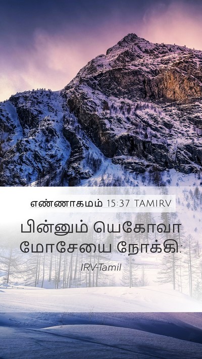 எண்ணாகமம் 15:37 TAMIRV Bible Verse Image