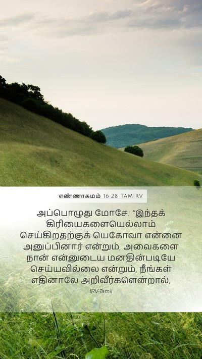 எண்ணாகமம் 16:28 TAMIRV Bible Verse Image